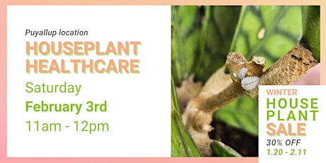 Seminar Houseplant Healthcare, Puyallup, Saturday Feb 3rd, 11am primary image