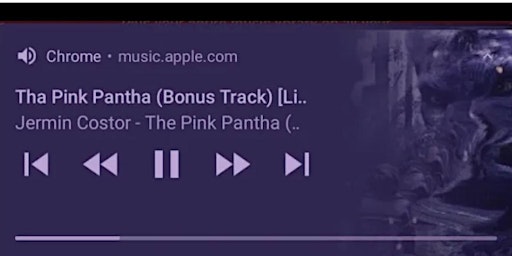 Pink Pantha Tour primary image