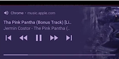 Pink+Pantha+Tour