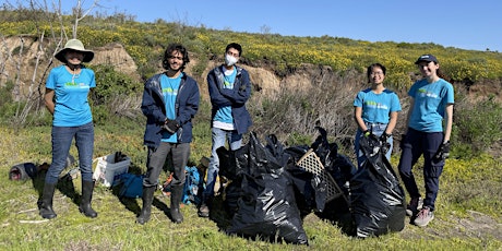 OCH Restoration at Upper Newport Bay