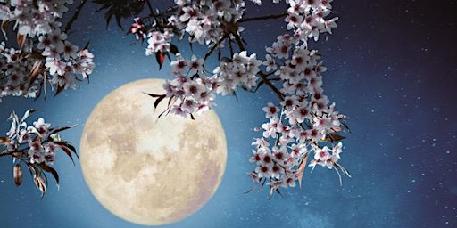 Imagem principal de Full Moon Guided Meditation & Sound Bath