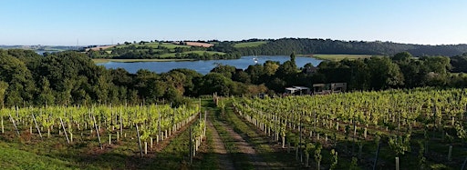 Collection image for Guided Tours at Tamar Valley Vineyard 2024