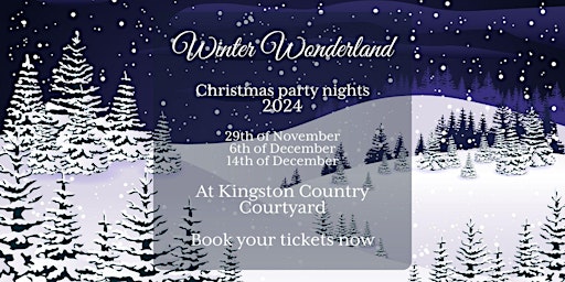 Primaire afbeelding van Christmas party night, join us in Winter Wonderland