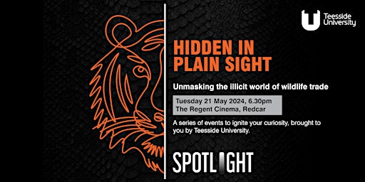 Imagem principal de Spotlight: Hidden in plain sight