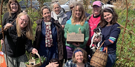 Image principale de Spring Foraging & wildcrafting workshop with lunch nr Frome & Bruton