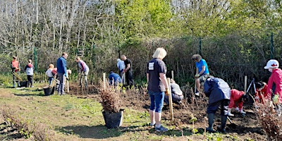 Forest Farm Tree Nursery Volunteering primary image