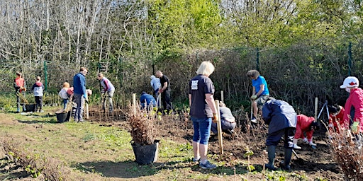 Imagem principal do evento Forest Farm Tree Nursery Volunteering