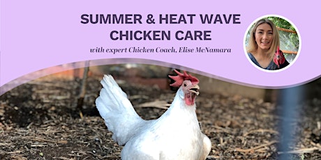 Summer & Heat Wave Chicken Care primary image