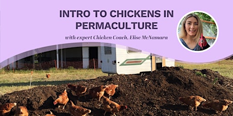 Introduction to Chickens In Permaculture primary image