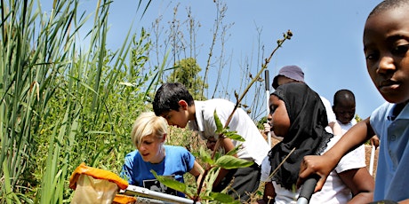 Easter Pond Dipping Workshop at Woolley Firs Maidenhead, Thursday 11 April