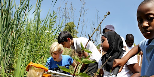 Hauptbild für Easter Pond Dipping Workshop at Woolley Firs Maidenhead, Thursday 11 April