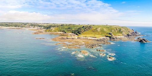 Image principale de Seaweed Foraging Tour