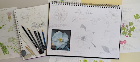 Imagem principal do evento Botanical Illustration for Adults Workshop - Wednesday 8 May, Woolley Firs