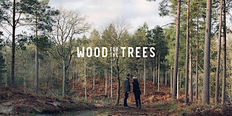Wood for the Trees UK: What is holding back woodland creation in the UK? primary image