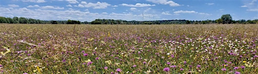 Hauptbild für Creative Writing  for adults - Woolley Firs, Tuesday 9 July