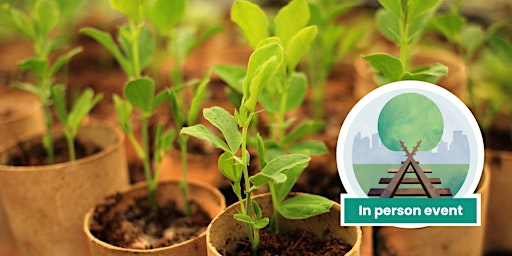 Image principale de Green Thumbs Workshop Series: How to grow plants from seed and cuttings