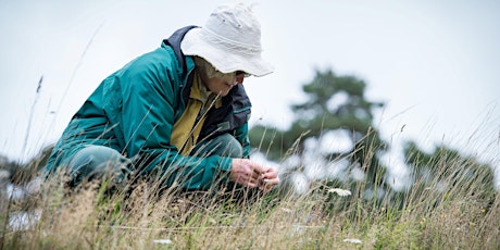 Invertebrate Surveying for adults - Woolley Firs, Wednesday 28 August