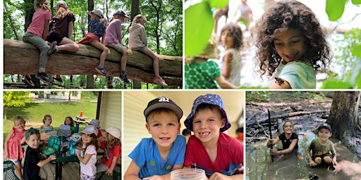 Primaire afbeelding van WILD CHILD Summer Camp