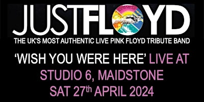 Pink Floyd Tribute by Just Floyd - performing 'Wish You Were Here' primary image