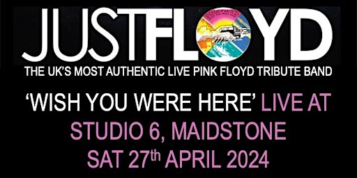 Pink Floyd Tribute by Just Floyd - performing 'Wish You Were Here' primary image