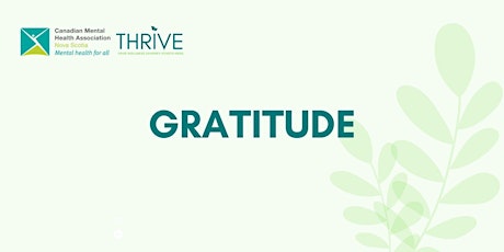 Gratitude primary image