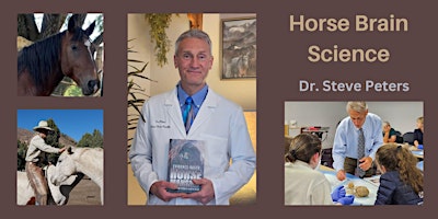 Dr. Steve Peters - Horse Brain Science - In New York primary image