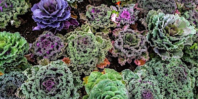 Fall Vegetable Gardens primary image