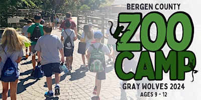 August 5-9 Gray Wolves: 9-12 Year olds  primärbild