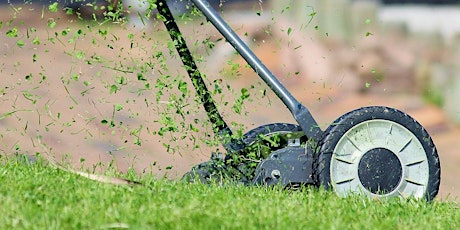 Home Lawn Management