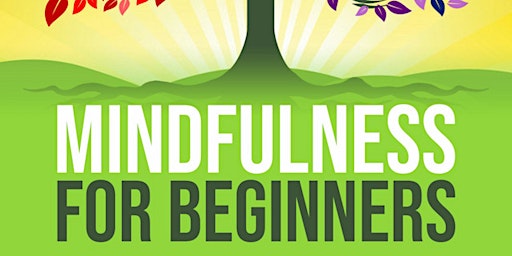 Imagem principal de Mindfulness Meditation For Beginners NEWRY