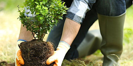 Imagem principal do evento Planting Trees and Shrubs