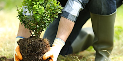 Planting Trees and Shrubs primary image