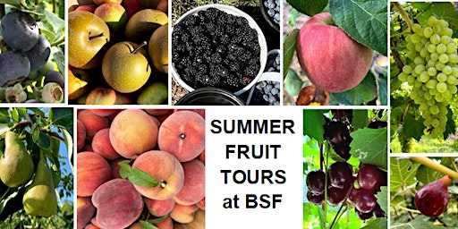 Summer Fruit Tour at BSF primary image
