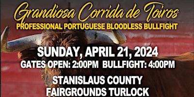 Imagem principal do evento San Joaquin Valley Portuguese Festival Bullfight