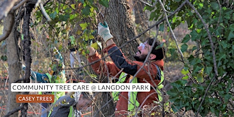 Community Conservation at Langdon Park primary image