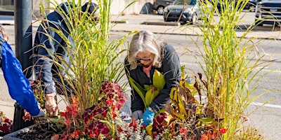 Primaire afbeelding van Pre-Season Garden Workshops - Downtown Community Garden