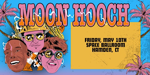 Moon Hooch primary image