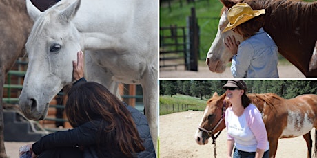 Image principale de Equine Vision Journey Retreat - June 2024