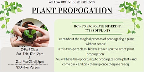 Propagating Plants Class primary image