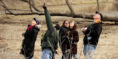 Workshop: Beginning Birding primary image