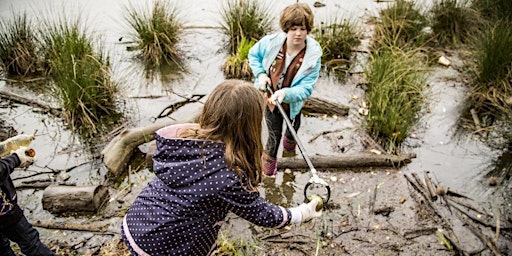 Immagine principale di Scott's Run Nature Preserve - Fairfax County Watershed Cleanup 2024 