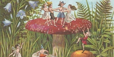 Hauptbild für Meet the Magical Folk of the Forest