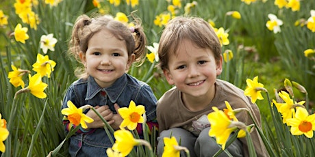 Building Positive Sibling Relationships (2 ‒ 10 Years) primary image