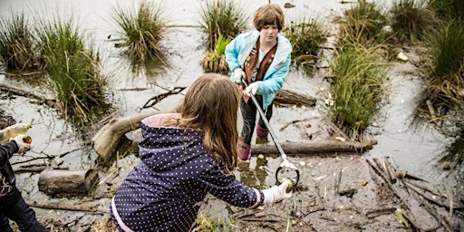 Imagem principal do evento Cub Run Stream Valley (Penrose Place) - Watershed Cleanup 2024