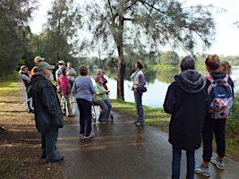 Guided Walk - Georges River
