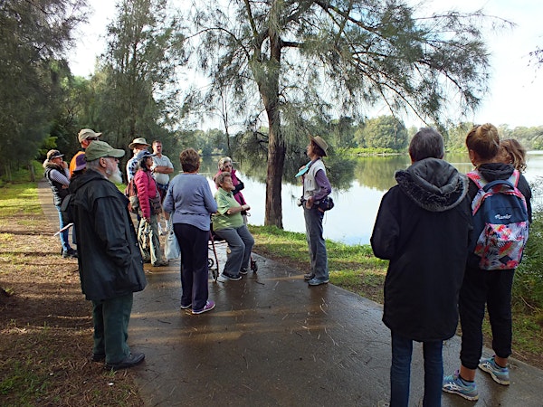 Guided Walk - Georges River
