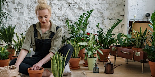 Image principale de Small Space and Vertical Vegetable Gardens