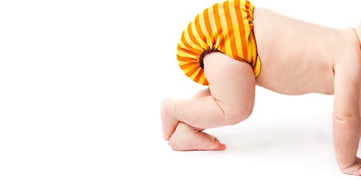 Imagem principal de Modern Cloth Nappies 101