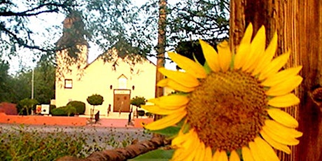 Tubac's Village-Wide Van Gogh Sunflower Paintout & Auction Fun-Raiser  primary image