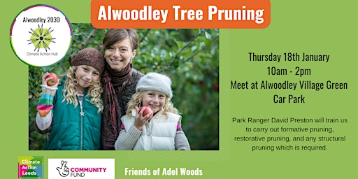 Alwoodley Tree Pruning primary image